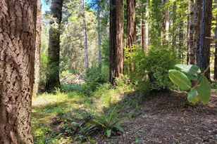 315 Chinquapin Ln, The Sea Ranch, CA 95497 - Photo 1