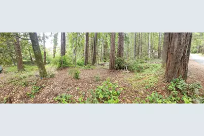 315 Chinquapin Lane, The Sea Ranch, CA 95497 - Photo 20