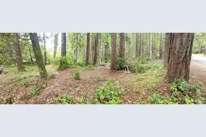 315 Chinquapin Lane, The Sea Ranch, CA 95497 - Photo 4