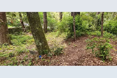 315 Chinquapin Lane, The Sea Ranch, CA 95497 - Photo 2