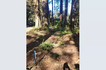 315 Chinquapin Lane, The Sea Ranch, CA 95497 - Photo 22