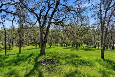 726 Park Way, Lakeport, CA 95453 - Photo 12