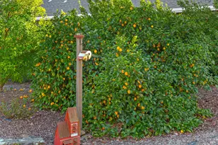 1245 Castle Rd, Sonoma, CA 95476 - Photo 38