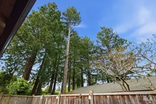 10 Catalpa Ave, Mill Valley, CA 94941 - Photo 42