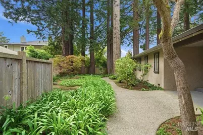 10 Catalpa Avenue #7, Mill Valley, CA 94941 - Photo 44