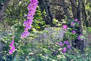 10463 Mill Station Rd, Sebastopol, CA 95472 - Photo 54