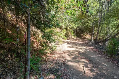 30401 Hwy 128 Highway, Yorkville, CA 95494 - Photo 36