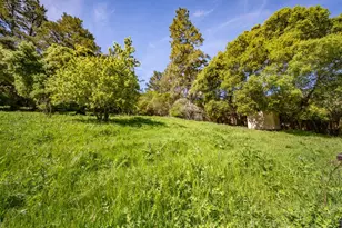 1 Alamo Way, Lagunitas, CA 94938 - Photo 24