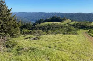 1 Alamo Way, Lagunitas, CA 94938 - Photo 14