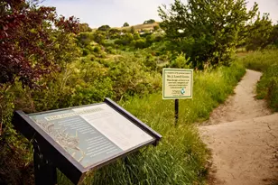 319 Golden Hind Passage, Corte Madera, CA 94925 - Photo 62