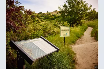 319 Golden Hind Passage, Corte Madera, CA 94925 - Photo 58