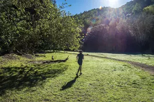 142 Dominga Ave, Fairfax, CA 94930 - Photo 48