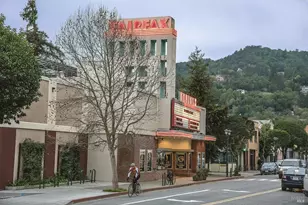 142 Dominga Ave, Fairfax, CA 94930 - Photo 50