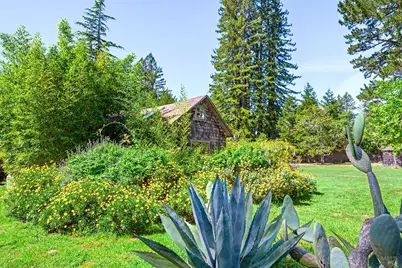 3580 Joy Road, Occidental, CA 95465 - Photo 4