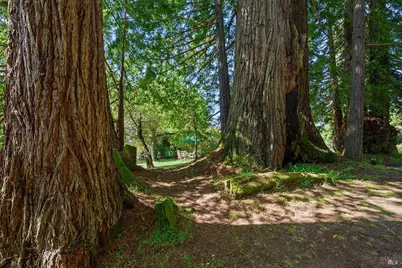 3580 Joy Road, Occidental, CA 95465 - Photo 42