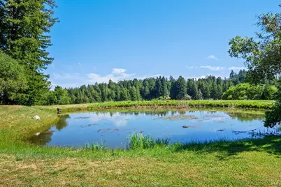 3580 Joy Road, Occidental, CA 95465 - Photo 38