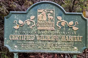 3580 Joy Rd, Occidental, CA 95465 - Photo 44