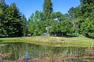 3580 Joy Rd, Occidental, CA 95465 - Photo 40