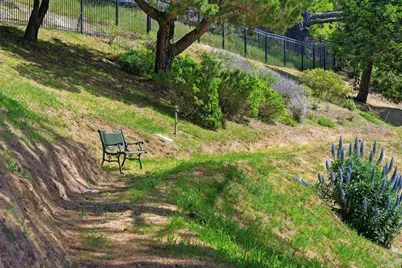 107 Mt Tiburon Road, Tiburon, CA 94920 - Photo 6