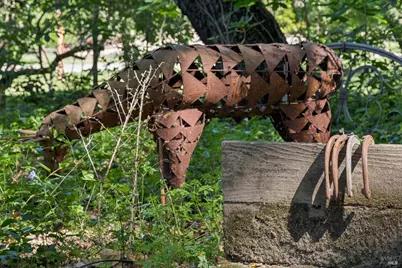 1195 Congress Valley Road, Napa, CA 94558 - Photo 92