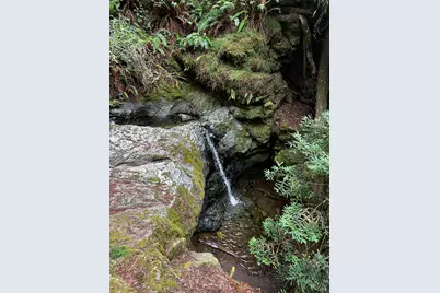 [Address not provided], Stinson Beach, CA 94970 - Photo 46