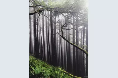 [Address not provided], Stinson Beach, CA 94970 - Photo 42