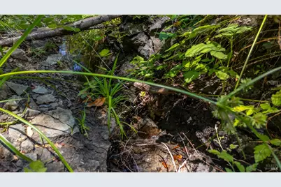 5364 Mill Creek Road, Healdsburg, CA 95448 - Photo 14