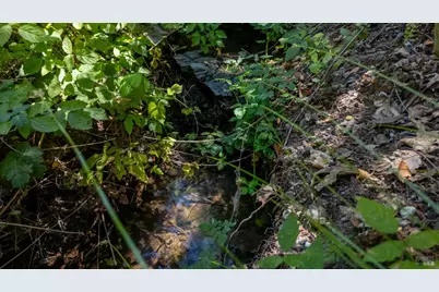 5364 Mill Creek Road, Healdsburg, CA 95448 - Photo 8