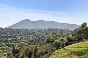 65 Valley View Ave, San Rafael, CA 94901 - Photo 46