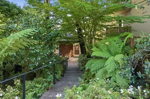 29 Bayview Ave, Mill Valley, CA 94941 - Photo 4