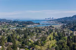 29 Bayview Ave, Mill Valley, CA 94941 - Photo 48