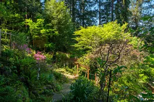 5 Viox Way, San Rafael, CA 94901 - Photo 68