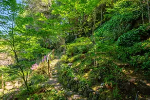 5 Viox Way, San Rafael, CA 94901 - Photo 64