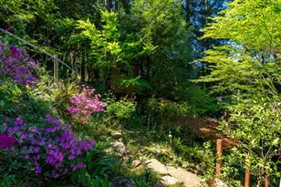 5 Viox Way, San Rafael, CA 94901 - Photo 70