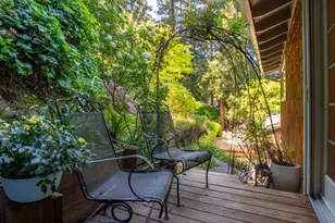 5 Viox Way, San Rafael, CA 94901 - Photo 30