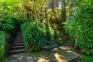 5 Viox Way, San Rafael, CA 94901 - Photo 58