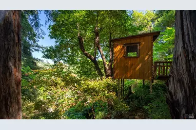 5 Viox Way, San Rafael, CA 94901 - Photo 62