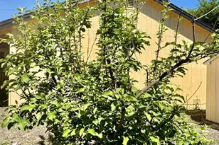 1836 Hearn Ave, Santa Rosa, CA 95407 - Photo 20