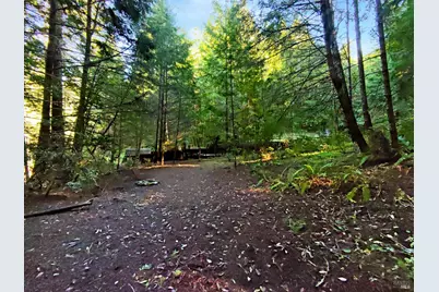 16125 Bittner Road, Occidental, CA 95465 - Photo 24