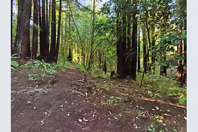 16125 Bittner Road, Occidental, CA 95465 - Photo 22