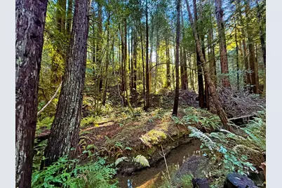 16125 Bittner Road, Occidental, CA 95465 - Photo 20