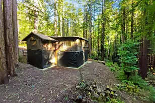 16125 Bittner Rd, Occidental, CA 95465 - Photo 30