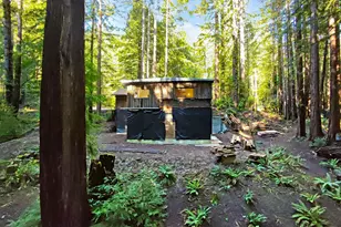 16125 Bittner Rd, Occidental, CA 95465 - Photo 30