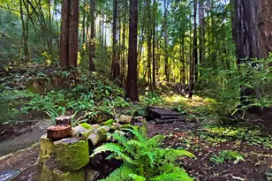 16125 Bittner Rd, Occidental, CA 95465 - Photo 28