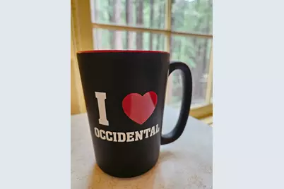 16125 Bittner Road, Occidental, CA 95465 - Photo 30