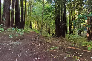 16125 Bittner Rd, Occidental, CA 95465 - Photo 24