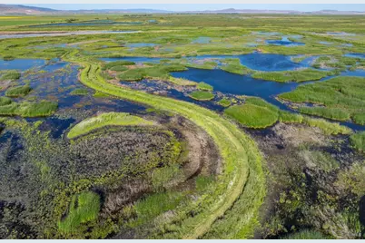 3034 State Line Road, Dorris, CA 96023 - Photo 2