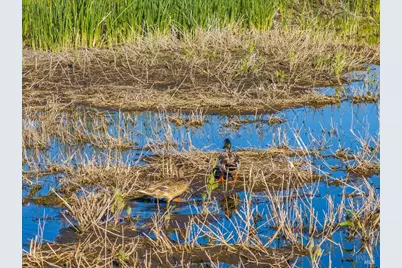 3034 State Line Road, Dorris, CA 96023 - Photo 32