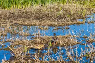 3034 State Line Rd, Dorris, CA 96023 - Photo 32