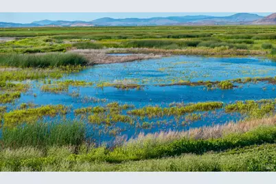 3034 State Line Road, Dorris, CA 96023 - Photo 4